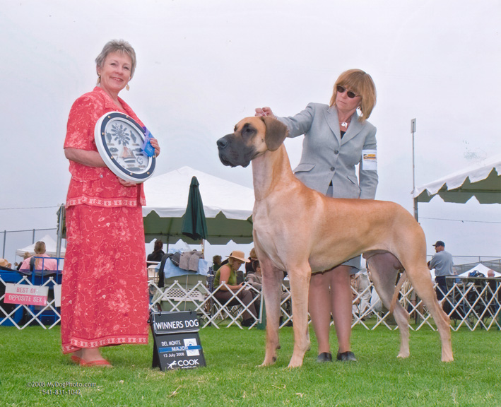 Basil's first major win