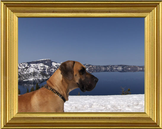 Basil visiting Crater Lake