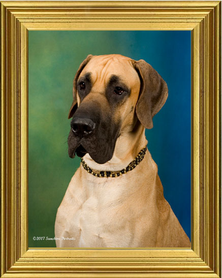 Basil has his portrait done in Montana