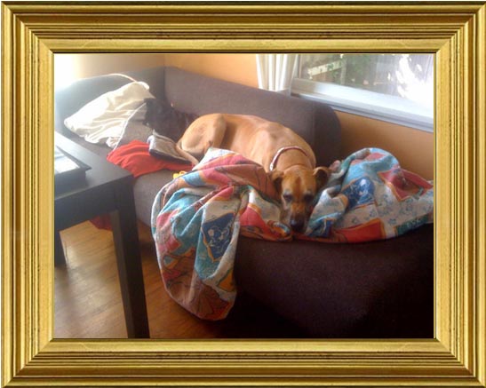 Juliet with her Scooby blanket