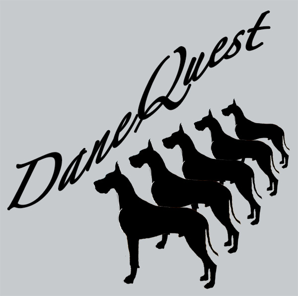 Dane Quest Logo